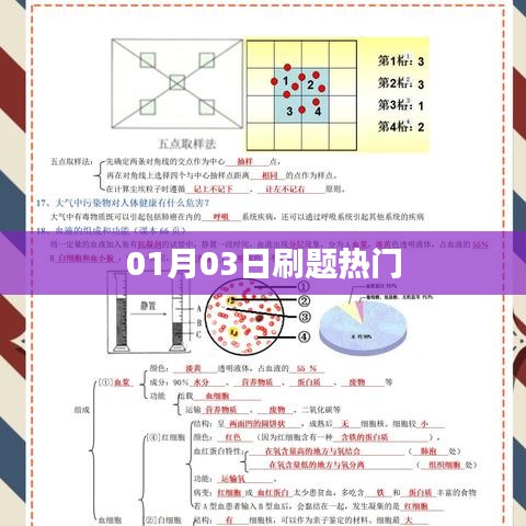 01月03日刷题热门，最新热门题目解析