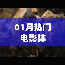 一月热门电影排行榜盘点