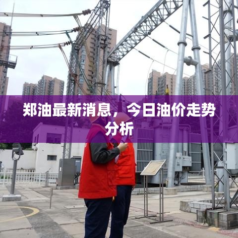 郑油最新消息，今日油价走势分析