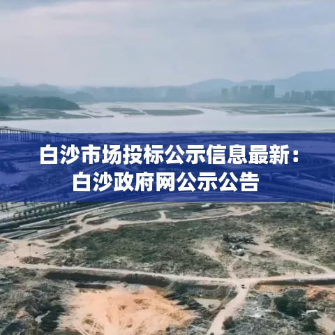 白沙市场投标公示信息最新：白沙政府网公示公告 