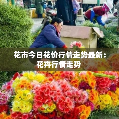 花市今日花价行情走势最新：花卉行情走势 