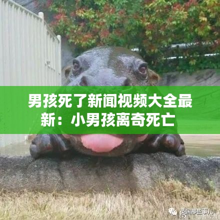 男孩死了新闻视频大全最新：小男孩离奇死亡 