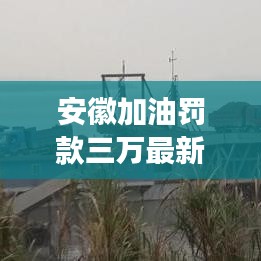 安徽加油罚款三万最新：安徽加油站事件 