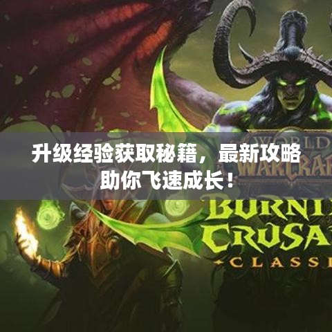 升级经验获取秘籍，最新攻略助你飞速成长！