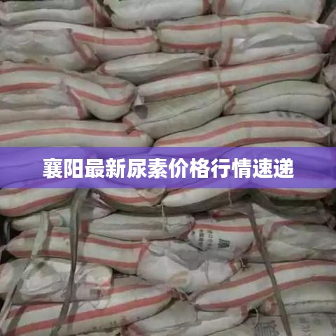 襄阳最新尿素价格行情速递