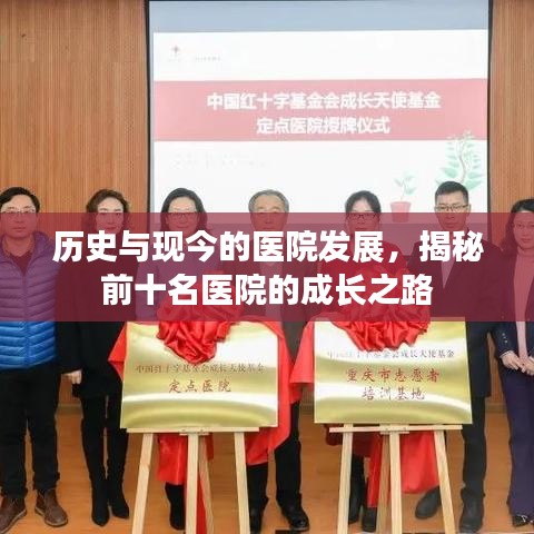 历史与现今的医院发展，揭秘前十名医院的成长之路