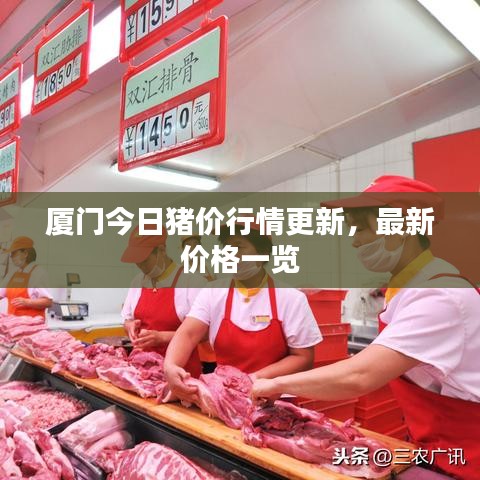 厦门今日猪价行情更新，最新价格一览