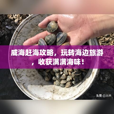 威海赶海攻略，玩转海边旅游，收获满满海味！