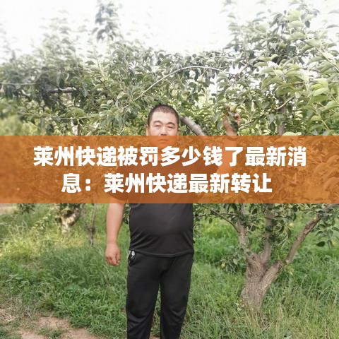莱州快递被罚多少钱了最新消息：莱州快递最新转让 