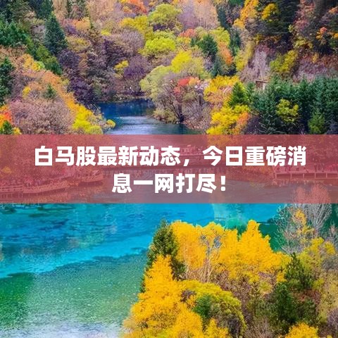 白马股最新动态，今日重磅消息一网打尽！