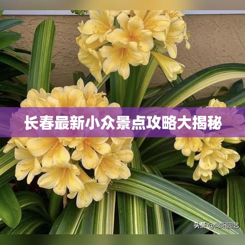 长春最新小众景点攻略大揭秘
