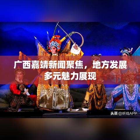 广西嘉靖新闻聚焦，地方发展多元魅力展现