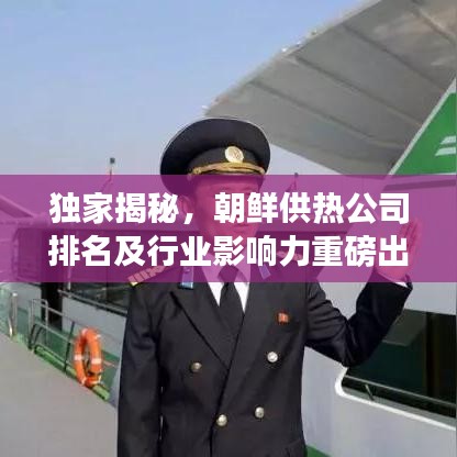 独家揭秘，朝鲜供热公司排名及行业影响力重磅出炉！