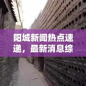 阳城新闻热点速递，最新消息综述