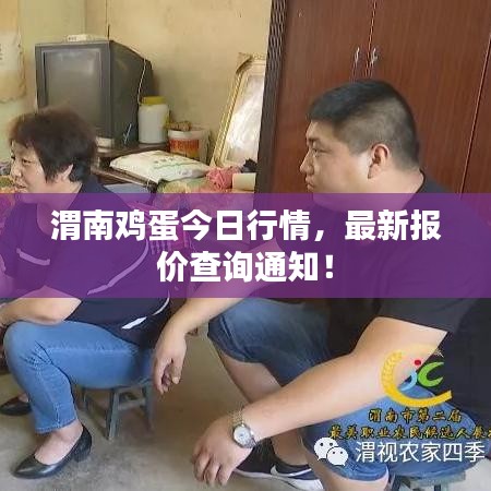 渭南鸡蛋今日行情，最新报价查询通知！