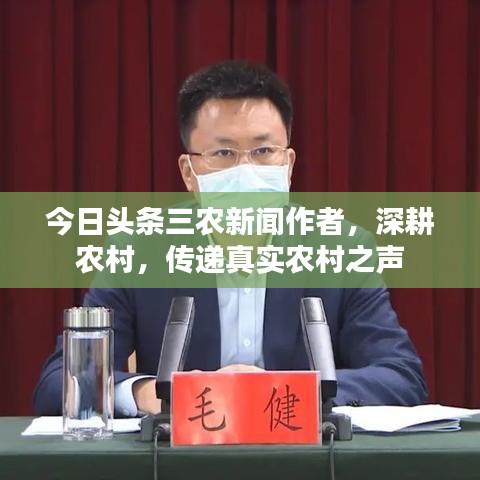 今日头条三农新闻作者，深耕农村，传递真实农村之声