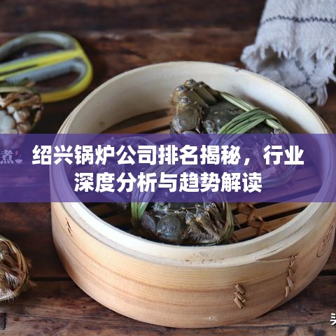 绍兴锅炉公司排名揭秘，行业深度分析与趋势解读