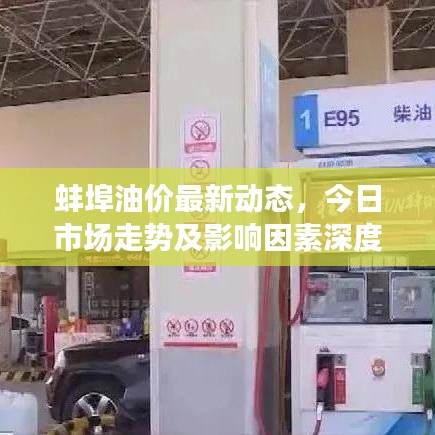 蚌埠油价最新动态，今日市场走势及影响因素深度解析