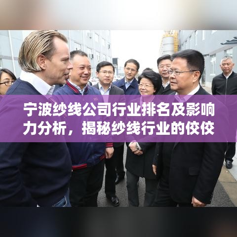 宁波纱线公司行业排名及影响力分析，揭秘纱线行业的佼佼者