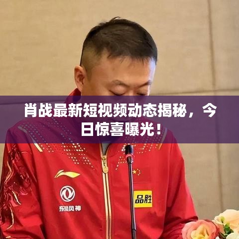 肖战最新短视频动态揭秘，今日惊喜曝光！
