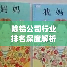 除铅公司行业排名深度解析，洞悉市场格局与发展趋势