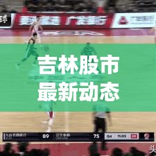 吉林股市最新动态，今日行情深度解析