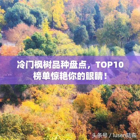 冷门枫树品种盘点，TOP10榜单惊艳你的眼睛！