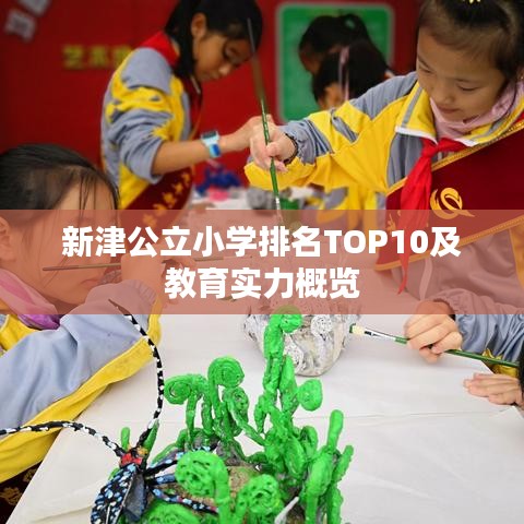 新津公立小学排名TOP10及教育实力概览