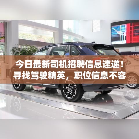今日最新司机招聘信息速递！寻找驾驶精英，职位信息不容错过