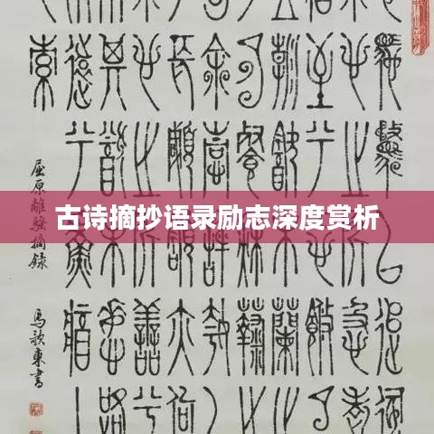 古诗摘抄语录励志深度赏析