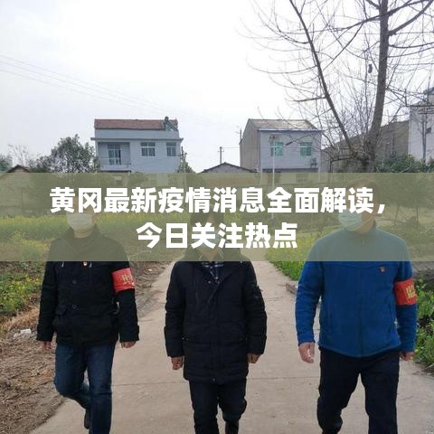 黄冈最新疫情消息全面解读，今日关注热点