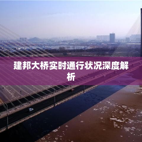 建邦大桥实时通行状况深度解析