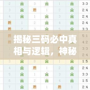 揭秘三码必中真相与逻辑，神秘数字背后的秘密！