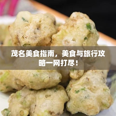 茂名美食指南，美食与旅行攻略一网打尽！