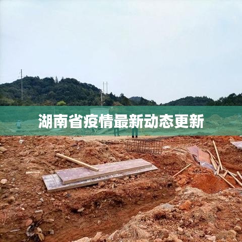 湖南省疫情最新动态更新