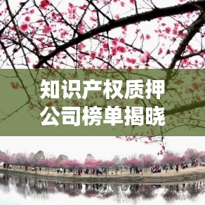 知识产权质押公司榜单揭晓，行业领军者一览无余