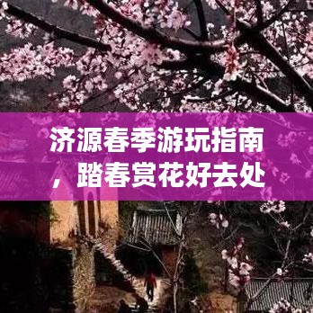 济源春季游玩指南，踏春赏花好去处！