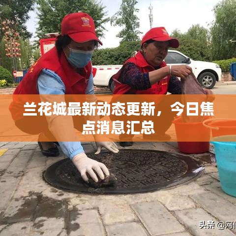 兰花城最新动态更新，今日焦点消息汇总