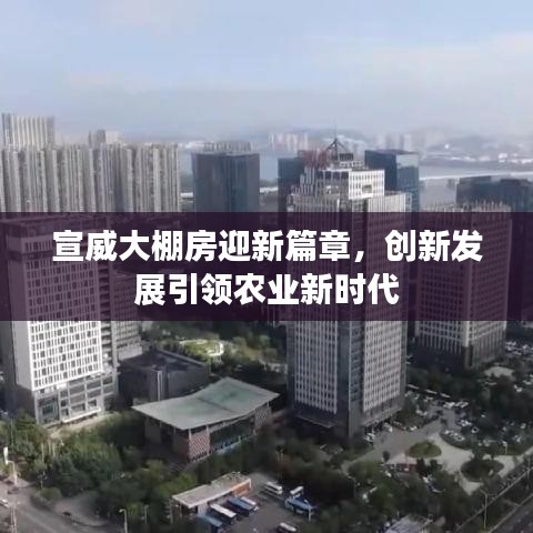 宣威大棚房迎新篇章，创新发展引领农业新时代