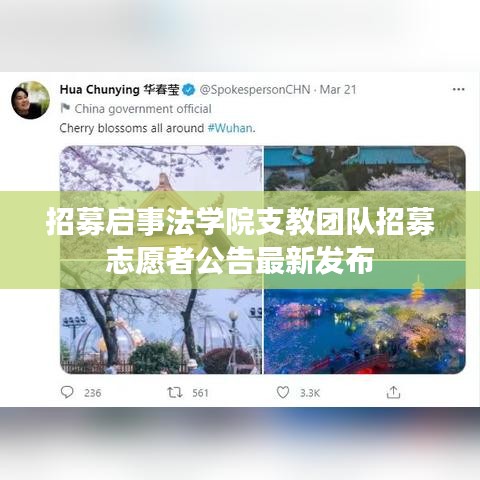 招募启事法学院支教团队招募志愿者公告最新发布