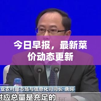 今日早报，最新菜价动态更新
