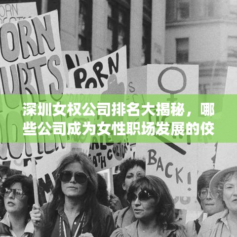 深圳女权公司排名大揭秘，哪些公司成为女性职场发展的佼佼者？