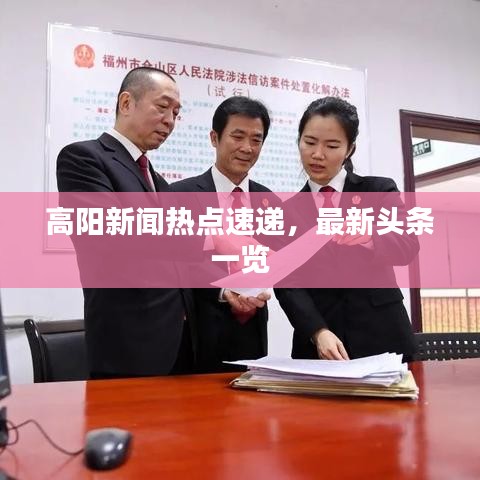 高阳新闻热点速递，最新头条一览