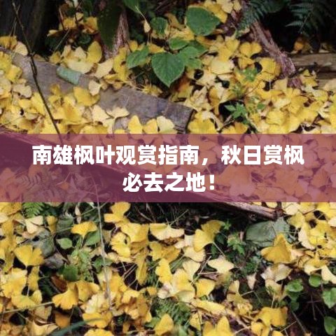 贵卖贱买 第2页