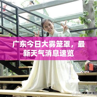 广东今日大雾笼罩，最新天气消息速览