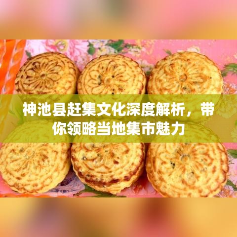 神池县赶集文化深度解析，带你领略当地集市魅力