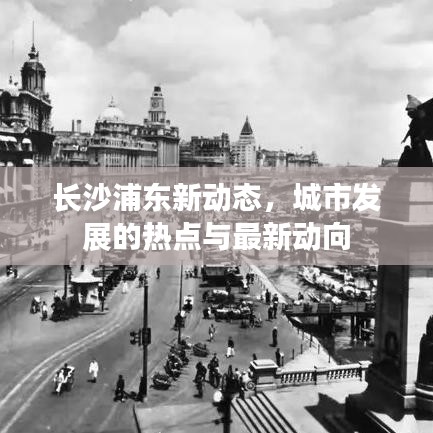 长沙浦东新动态，城市发展的热点与最新动向