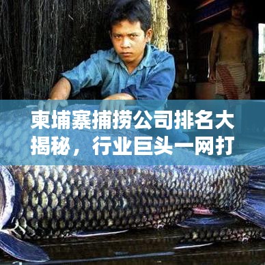 柬埔寨捕捞公司排名大揭秘，行业巨头一网打尽！
