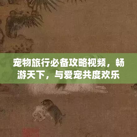 宠物旅行必备攻略视频，畅游天下，与爱宠共度欢乐时光