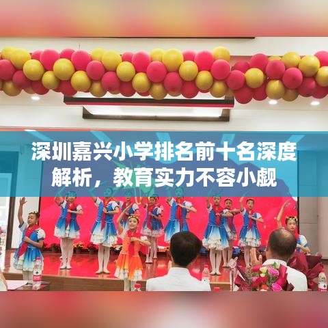 深圳嘉兴小学排名前十名深度解析，教育实力不容小觑